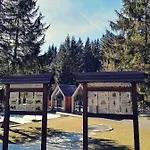 Drewniana Roza Karkonosze