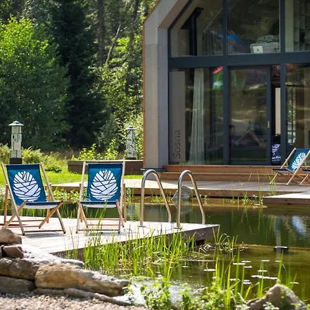Holiday home Drewniana Roza Karkonosze Piechowice (Karkonosze)