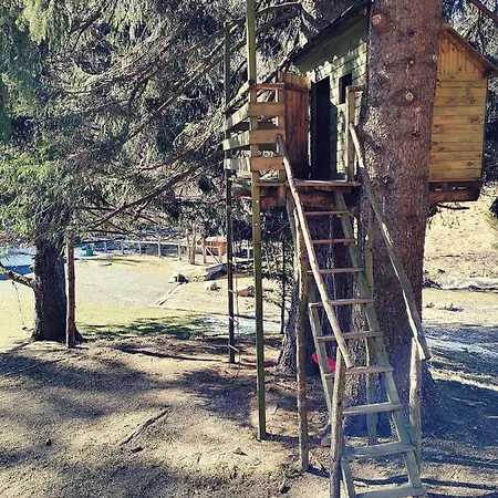 Drewniana Roza Karkonosze *