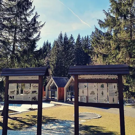 Drewniana Roza Karkonosze