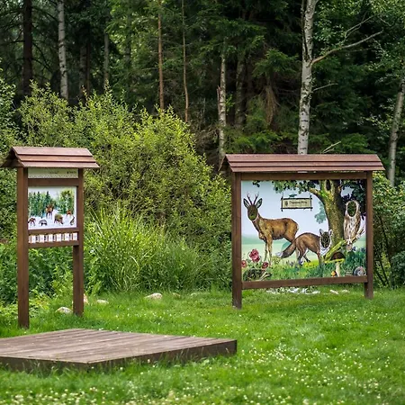 Prázdninový dům Drewniana Roza Karkonosze Piechowice (Karkonosze)