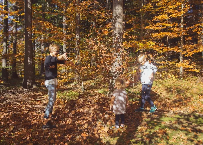 펜션 Drewniana Roza Karkonosze