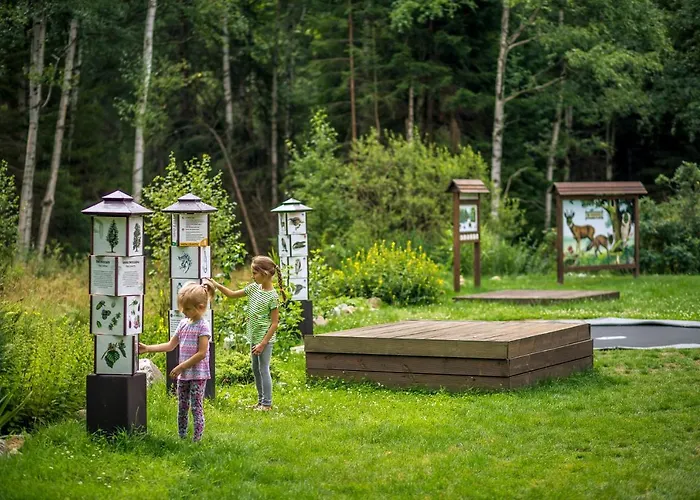 Drewniana Roza Karkonosze * 피에초비체