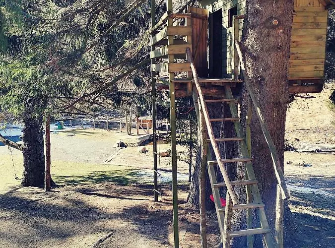 Drewniana Roza Karkonosze *