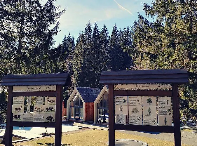 Drewniana Roza Karkonosze